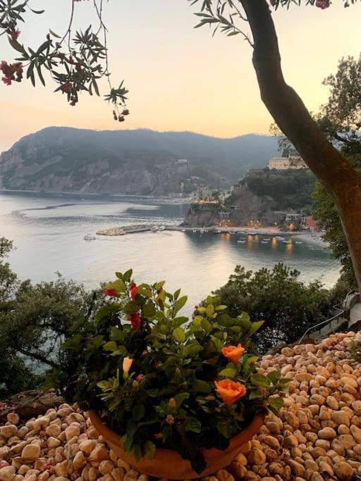 Historic Downtown Home By The Sea With King Bed Μοντερόσο αλ Μάρε Εξωτερικό φωτογραφία