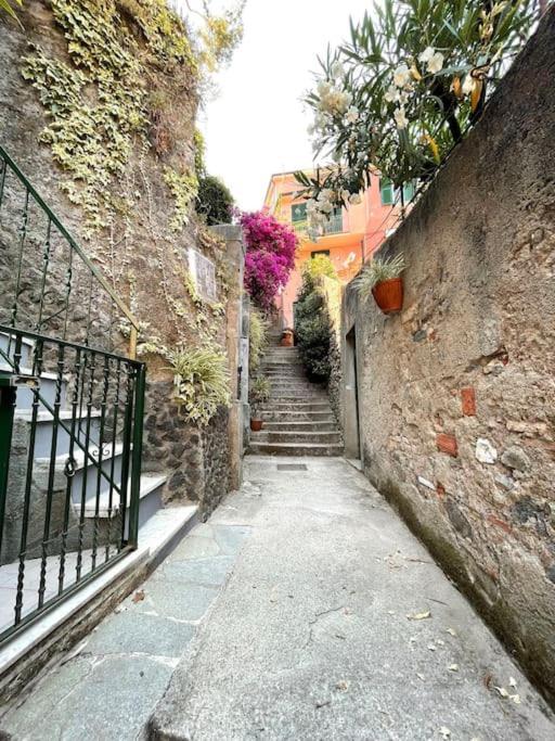Historic Downtown Home By The Sea With King Bed Μοντερόσο αλ Μάρε Εξωτερικό φωτογραφία